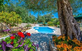 Livadi Studios With Pool