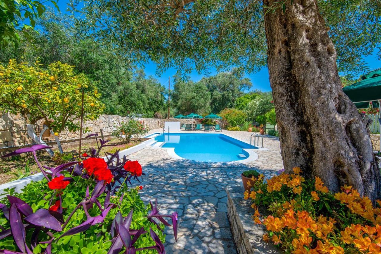 Livadi Studios With Pool Lákka Extérieur photo